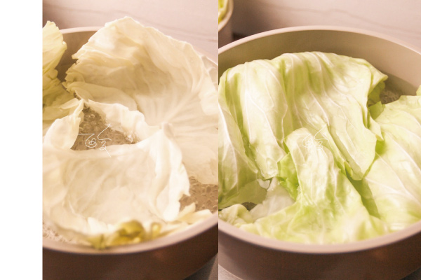 2.煮一鍋滾水，將高麗菜燙軟，取出備用。  ▶▶不需要燙太久太熟，只要根部可以捲起即可